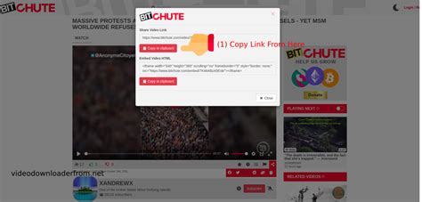 Copy shareable video URL. . Bitchute downloader